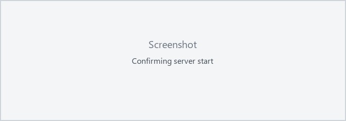 Confirming server start