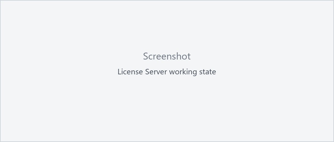 License Server working state